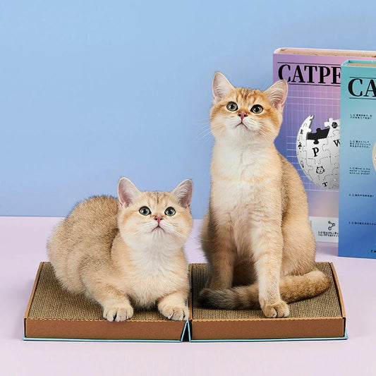 Cat Wiki Corrugated Scratching Board in sci-fi blue and dreamy purple powder