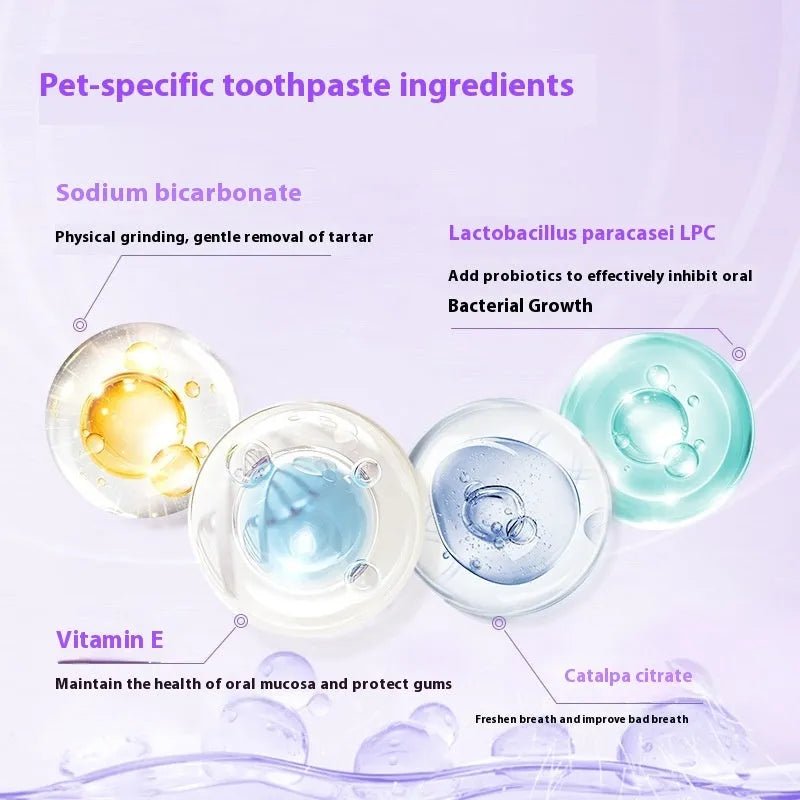 5ml pet toothbrush pen with applicator brush for dog and cat dental cleaning