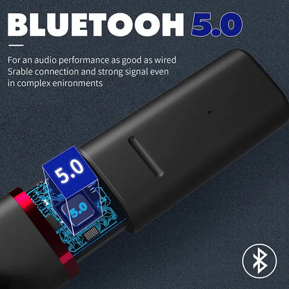VV1 black and white Bluetooth wireless earphones with charging case showing in-ear design