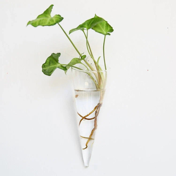 Wall-mounted glass flower vase and terrarium with various design options for customization and decoration