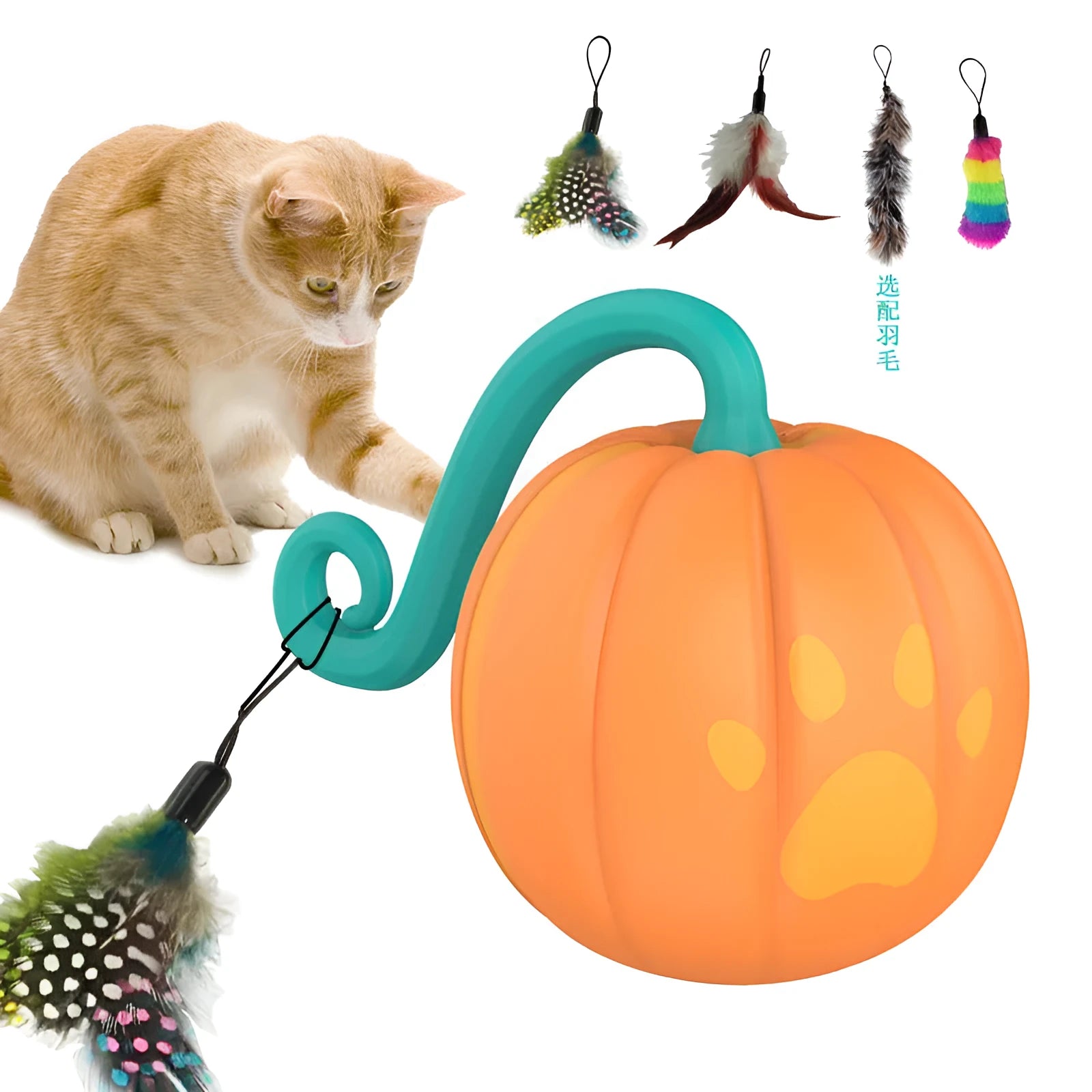 Electric cat teasing ball toy in watermelon or pumpkin colour design