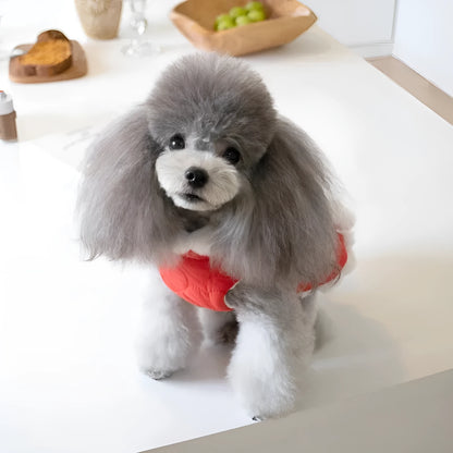 Red Chinese-style pet clothing with thick fur collar and traditional knot fastening for autumn and winter wear