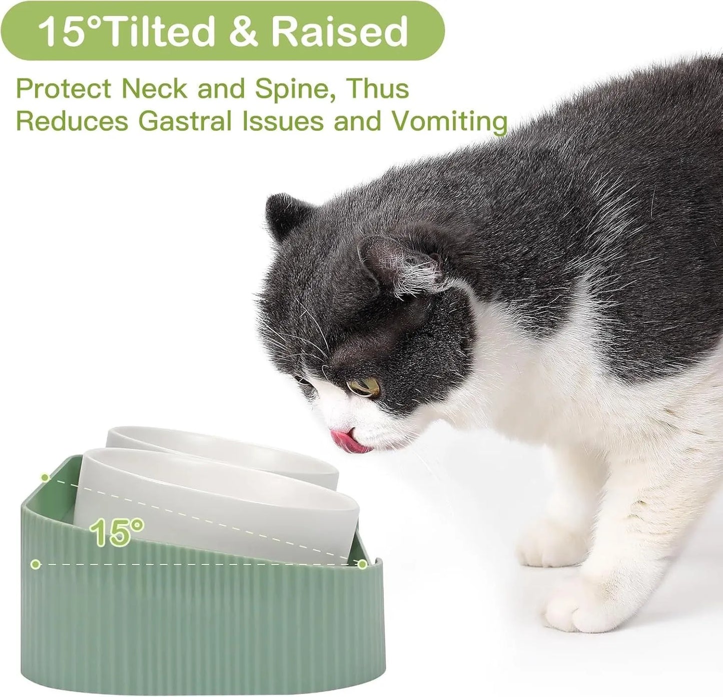 Green ceramic elevated cat bowl set with two tilted dishes on a stand with a spill-proof rim