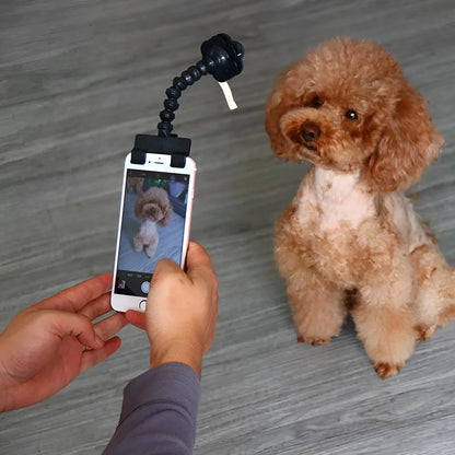 Black pet selfie stick with extended arm and square clip holding a smartphone next to a dog.