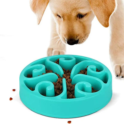 Coloured plastic dog slow feeder bowl showing internal maze pattern and ridges, with wide non-slip base
