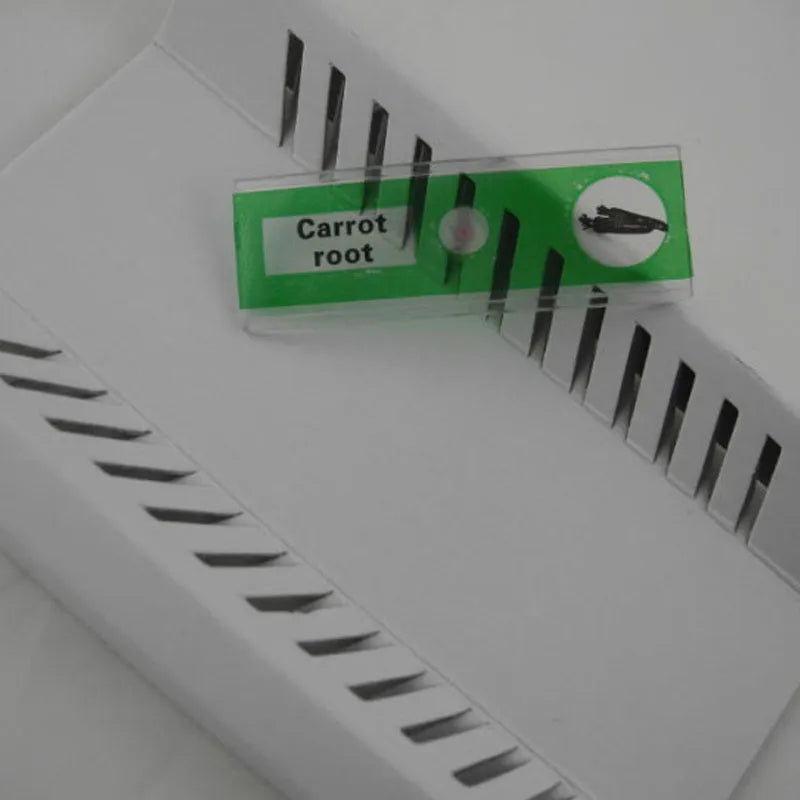 Four colour-coded boxes containing plastic microscope slides with plant rhizome and animal specimen samples for children