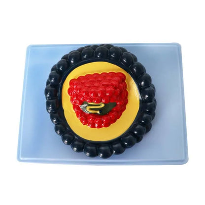 Black PVC virus biological model on white background, 20 cm scale.