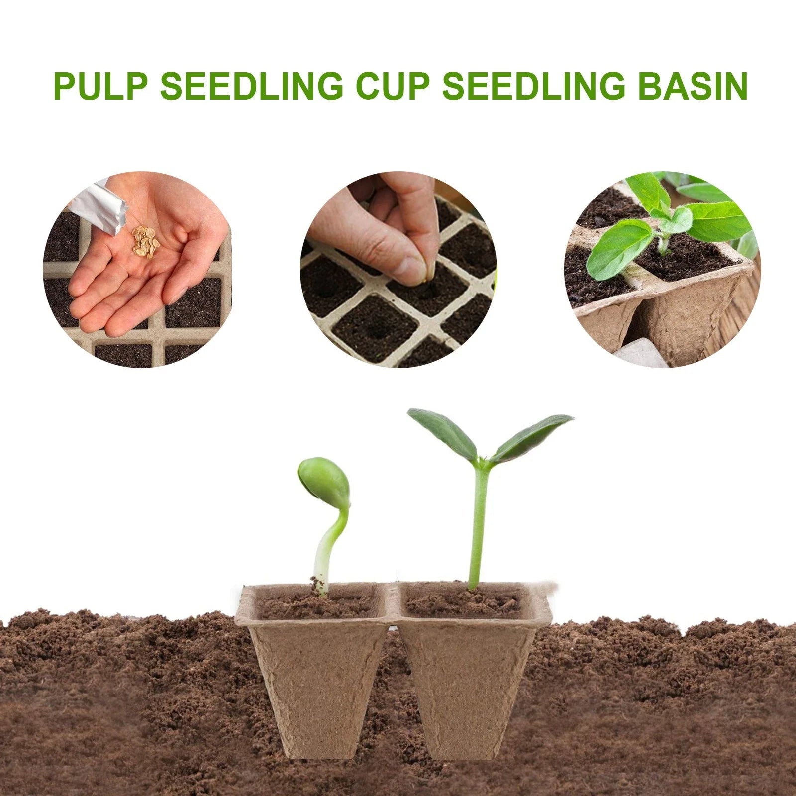 Eco-Friendly Seedling Trays with 12 Cells for Convenient Planting and Transplanting