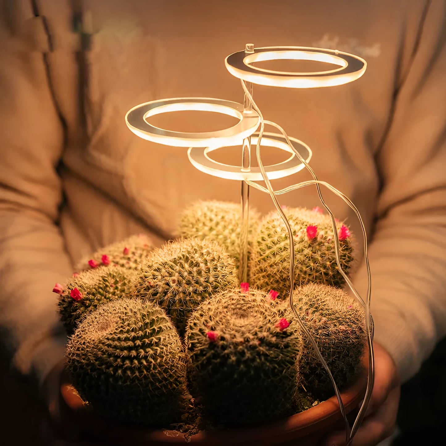 USB LED plant grow light with acrylic stick in multiple head configurations