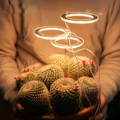 USB LED plant grow light with acrylic stick in multiple head configurations