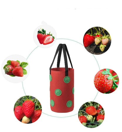 Premium vertical planting bags made of breathable non-woven fabric with 13 strategically placed holes for easy monitoring and harvesting