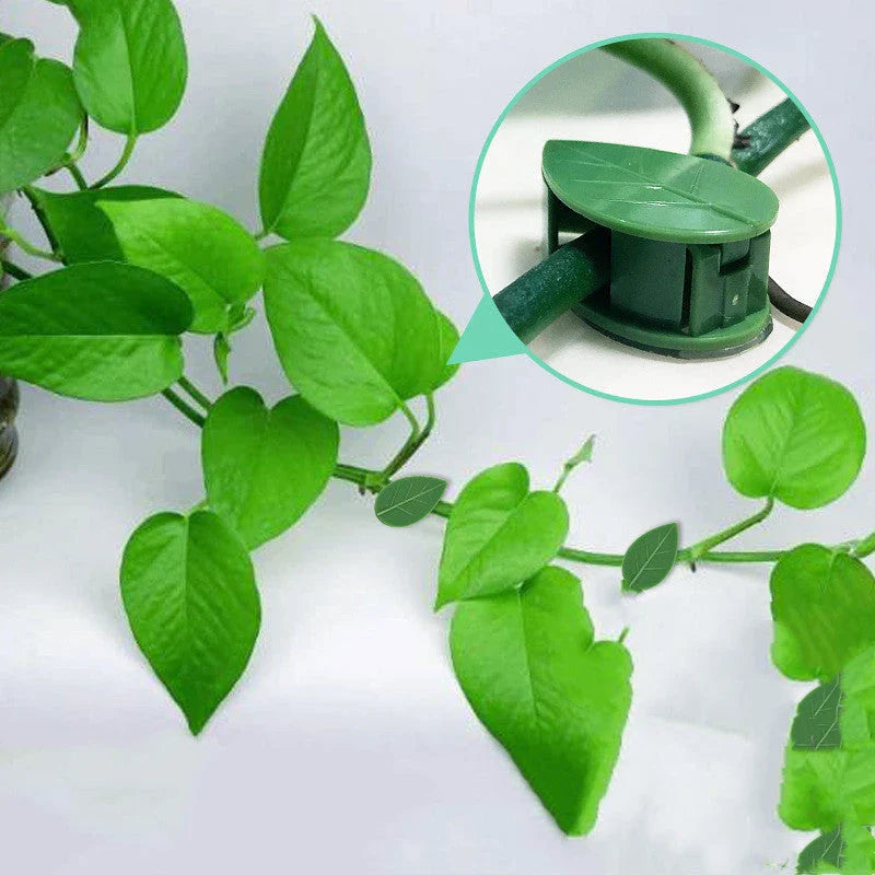 Decorative plant wall clips made of eco-friendly ABS resin in a leaf shape, providing an easy solution for supporting climbing indoor and outdoor plants