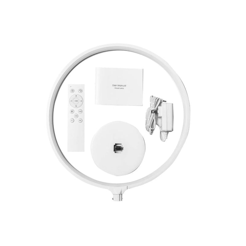 Full Moon Lamp Table Lamp Night Light with Remote Control, Mood Lighting, Creative Gifts, 8W LED in White, 300lm Luminous Flux, AC 100-240V, UK Power Plug