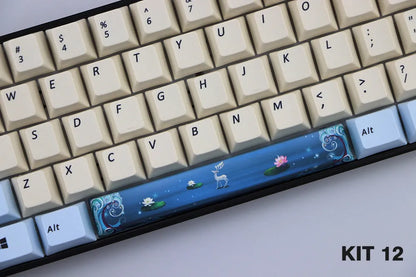 Single 6.25U PBT mechanical keyboard keycap in Cherry profile, shown in multiple colour options.