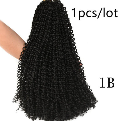 Passion twist crochet braid hair extensions showing spring twist texture and 18-inch length