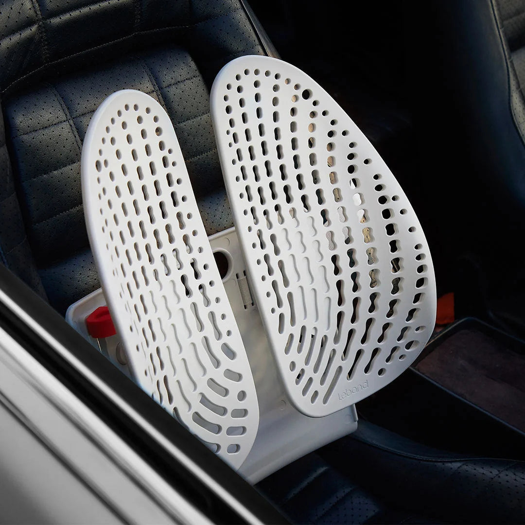 Adjustable lumbar support cushion with ventilated mesh for car and office use