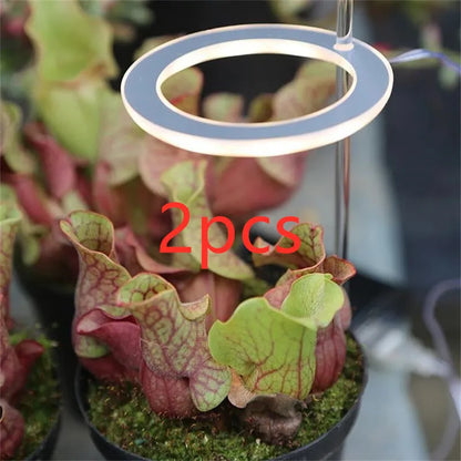 USB LED plant grow light with acrylic stick in multiple head configurations