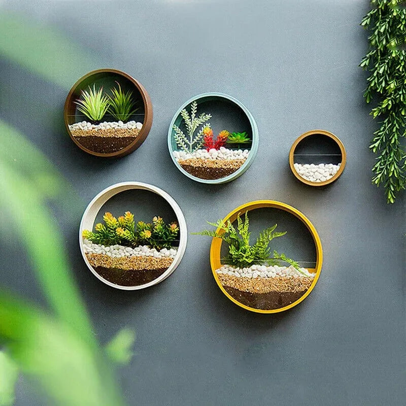 Round iron wall vase hanging basket flower pot wall decor for home living room restaurant use with plastic construction available in black blue grey pink white yellow colours in L M S or three-piece size options