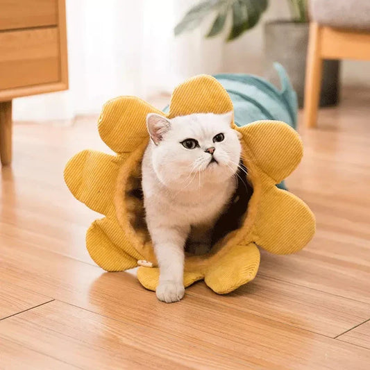 Adorable fruit-shaped cat hammock in various colours, providing a cosy and comfortable retreat for felines