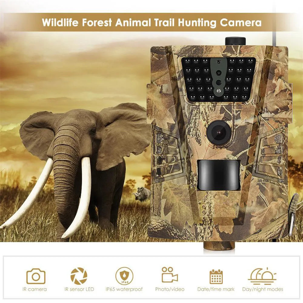 Outdoor orchard surveillance camera with infrared night vision LEDs and motion sensor