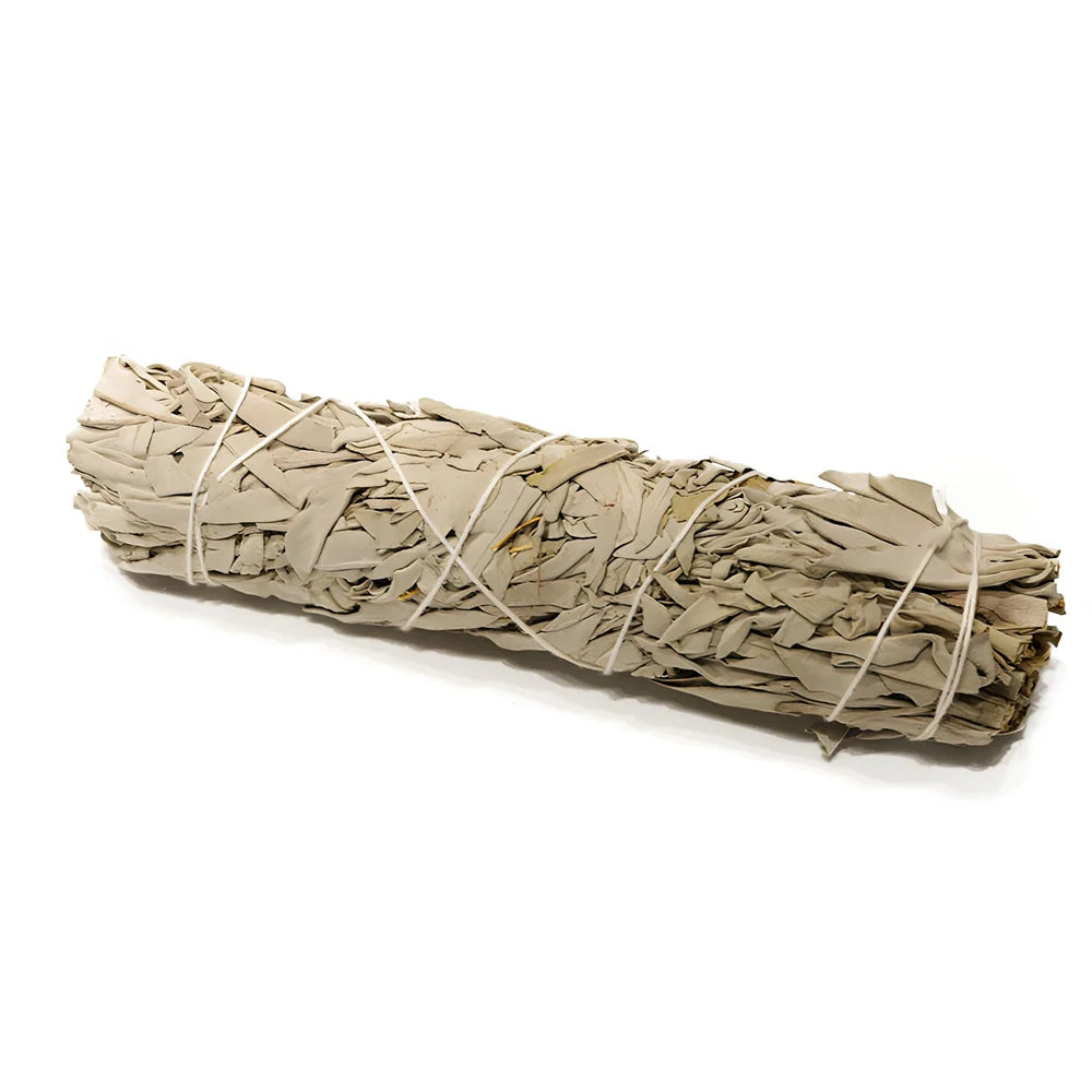 Natural white sage bundle measuring 18cm long with 3.5cm diameter for space purification