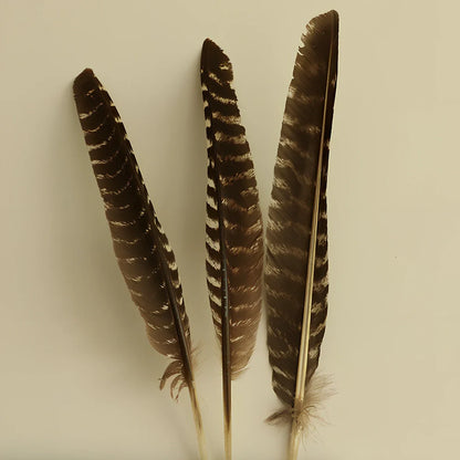 Natural white sage bundle measuring 18cm long with 3.5cm diameter for space purification