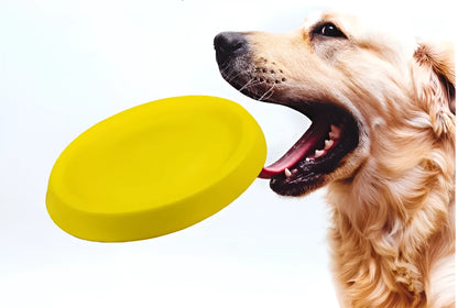 Yellow EVA plastic dog throwing toy for training and interactive games