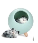 Ambient LED nightlight with beech and ABS construction, providing soft, adjustable lighting in white, pink, and green