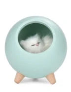 Ambient LED nightlight with beech and ABS construction, providing soft, adjustable lighting in white, pink, and green