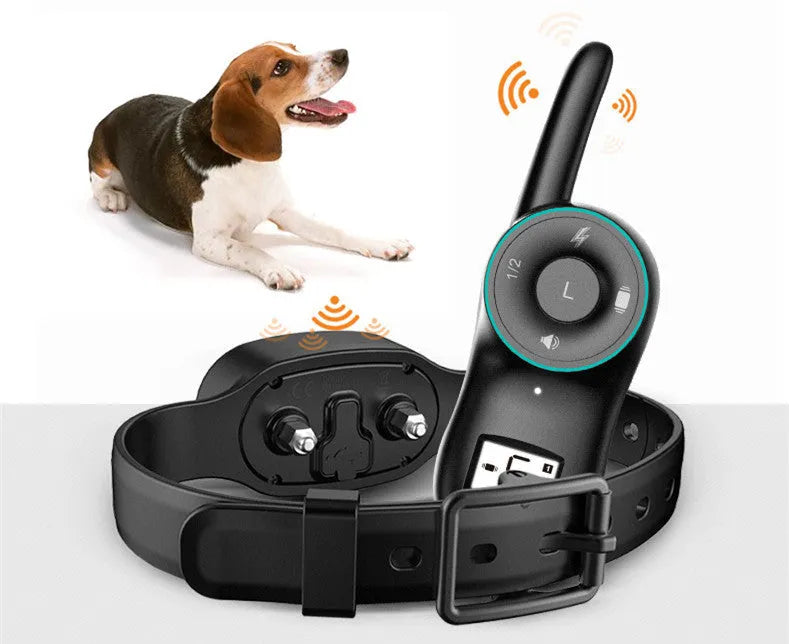 Black waterproof dog training collar with remote control showing LCD display and adjustable strap