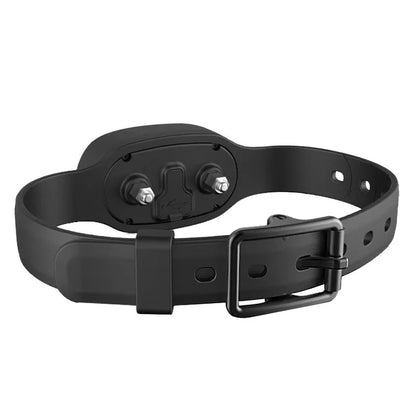 Black waterproof dog training collar with remote control showing LCD display and adjustable strap