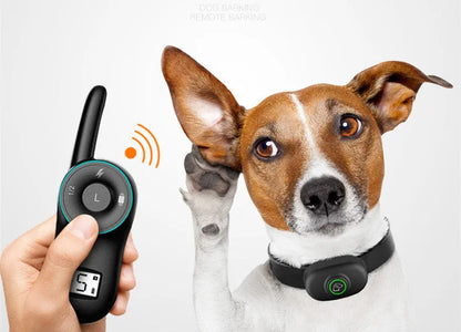 Black waterproof dog training collar with remote control showing LCD display and adjustable strap