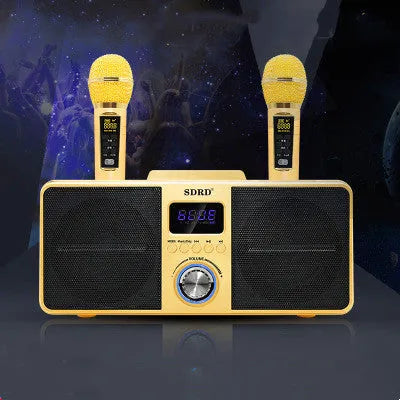 Black home KTV Bluetooth speaker with dual wireless microphones for karaoke