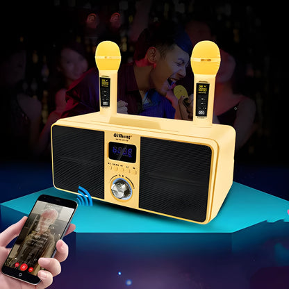 Black home KTV Bluetooth speaker with dual wireless microphones for karaoke