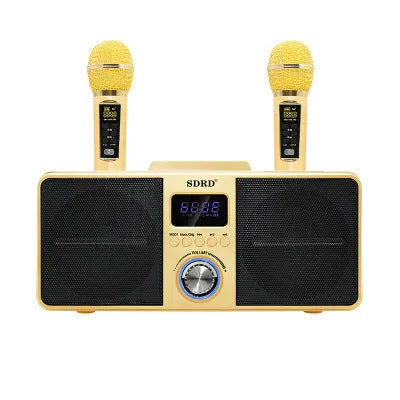 Black home KTV Bluetooth speaker with dual wireless microphones for karaoke
