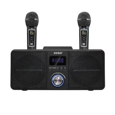 Black home KTV Bluetooth speaker with dual wireless microphones for karaoke