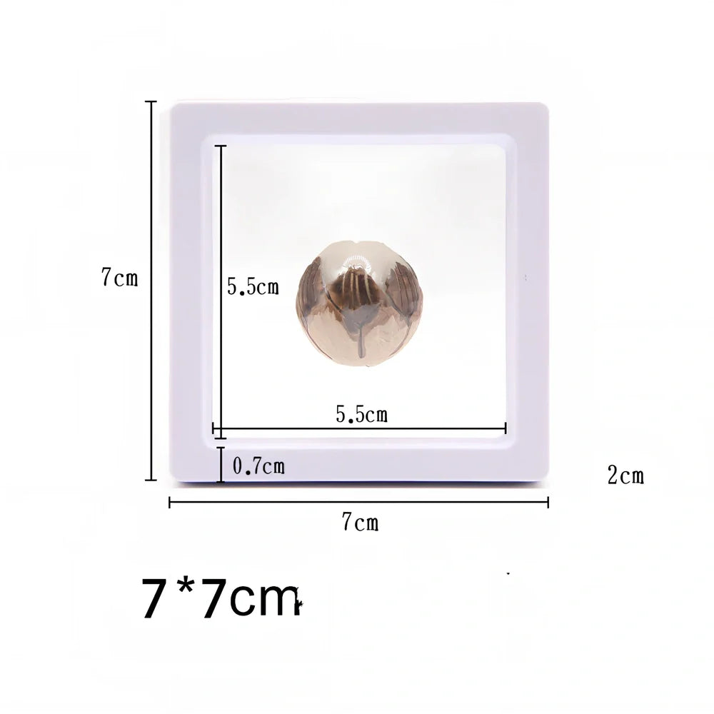 Black 11x11cm suspended 3D floating display frame holding a coin, with square base for stable collectible showcase