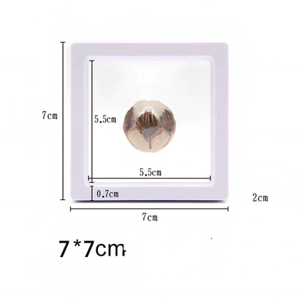 Black 11x11cm suspended 3D floating display frame holding a coin, with square base for stable collectible showcase