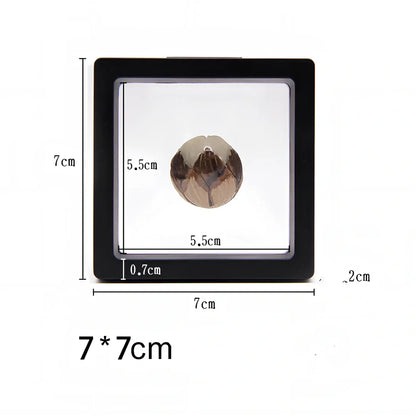 Black 11x11cm suspended 3D floating display frame holding a coin, with square base for stable collectible showcase