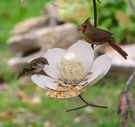 Petal-shaped bird feeder in various colours, designed to attract and delight birds in the garden