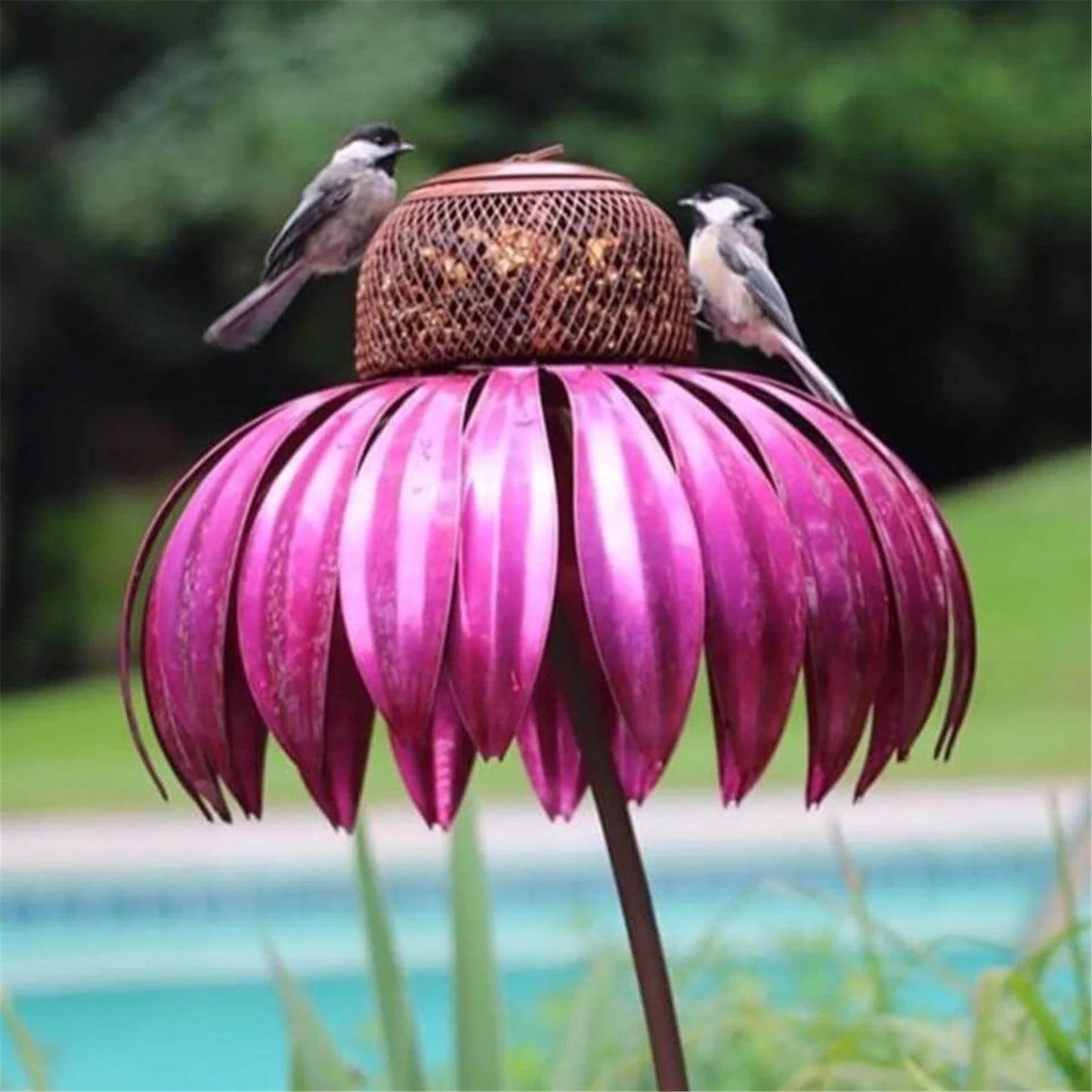 Petal-shaped bird feeder in various colours, designed to attract and delight birds in the garden
