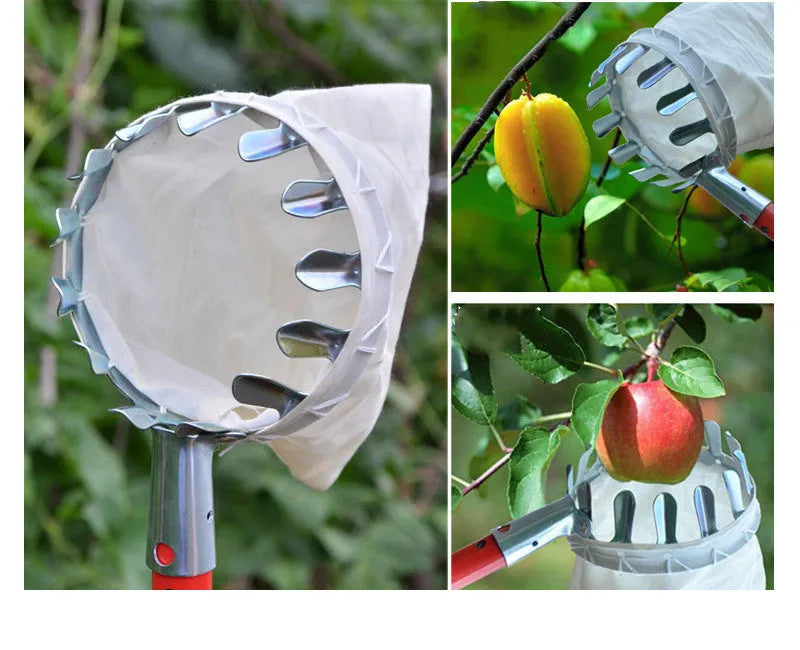 Steel-framed fruit picker with long pole and attached cloth catcher basket for garden use.