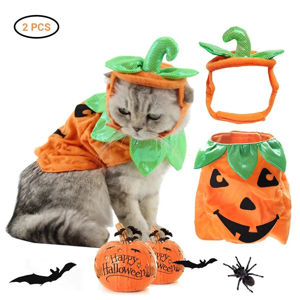 Pumpkin-themed Halloween costume for cats, featuring a plush hat and dress with vibrant patterns and leaf accents