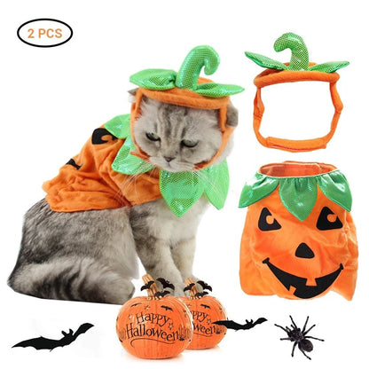 Pumpkin-themed Halloween costume for cats, featuring a plush hat and dress with vibrant patterns and leaf accents