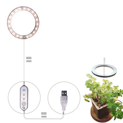 USB LED grow light with angel ring design for indoor plants showing full spectrum lighting