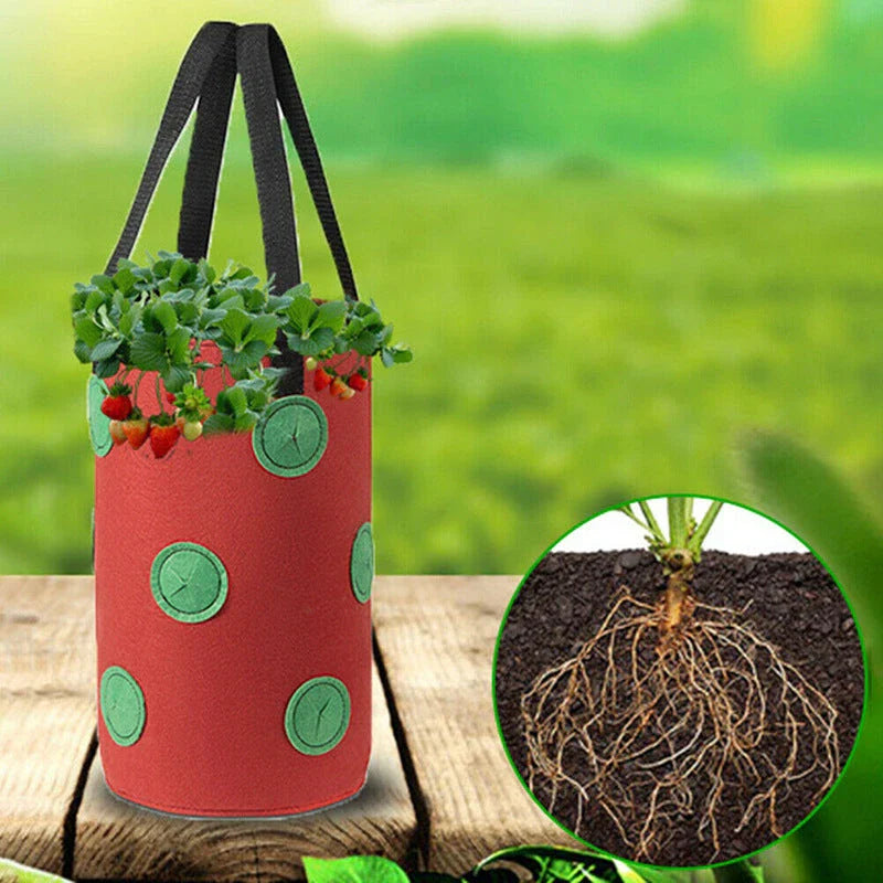 Premium vertical planting bags made of breathable non-woven fabric with 13 strategically placed holes for easy monitoring and harvesting