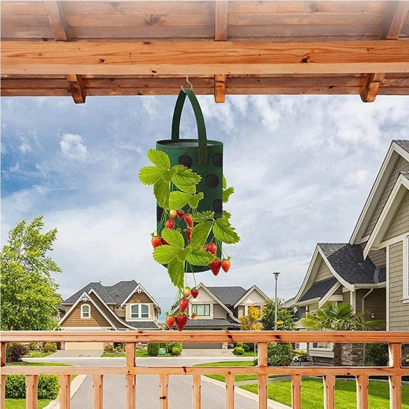 Premium vertical planting bags made of breathable non-woven fabric with 13 strategically placed holes for easy monitoring and harvesting