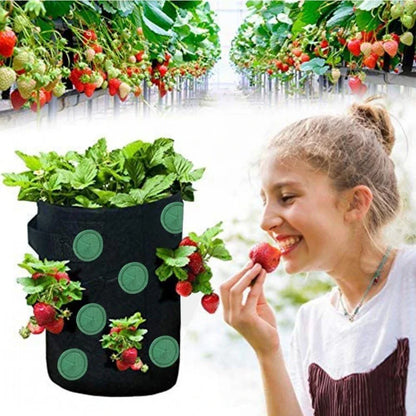 Premium vertical planting bags made of breathable non-woven fabric with 13 strategically placed holes for easy monitoring and harvesting