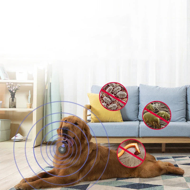 Ultrasonic pest repellent device with bright, multicolored safety lights for use around the home and with pets