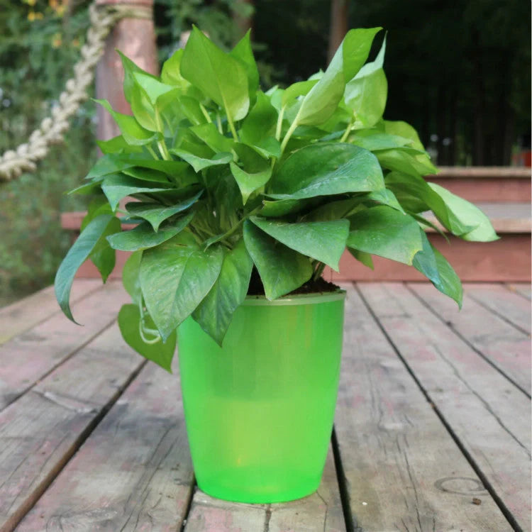 Nordic Hydroponics Self-Watering Flower Pot in various colours for fairy gardens and home decor